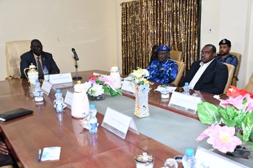 Blue Nile Region Governor