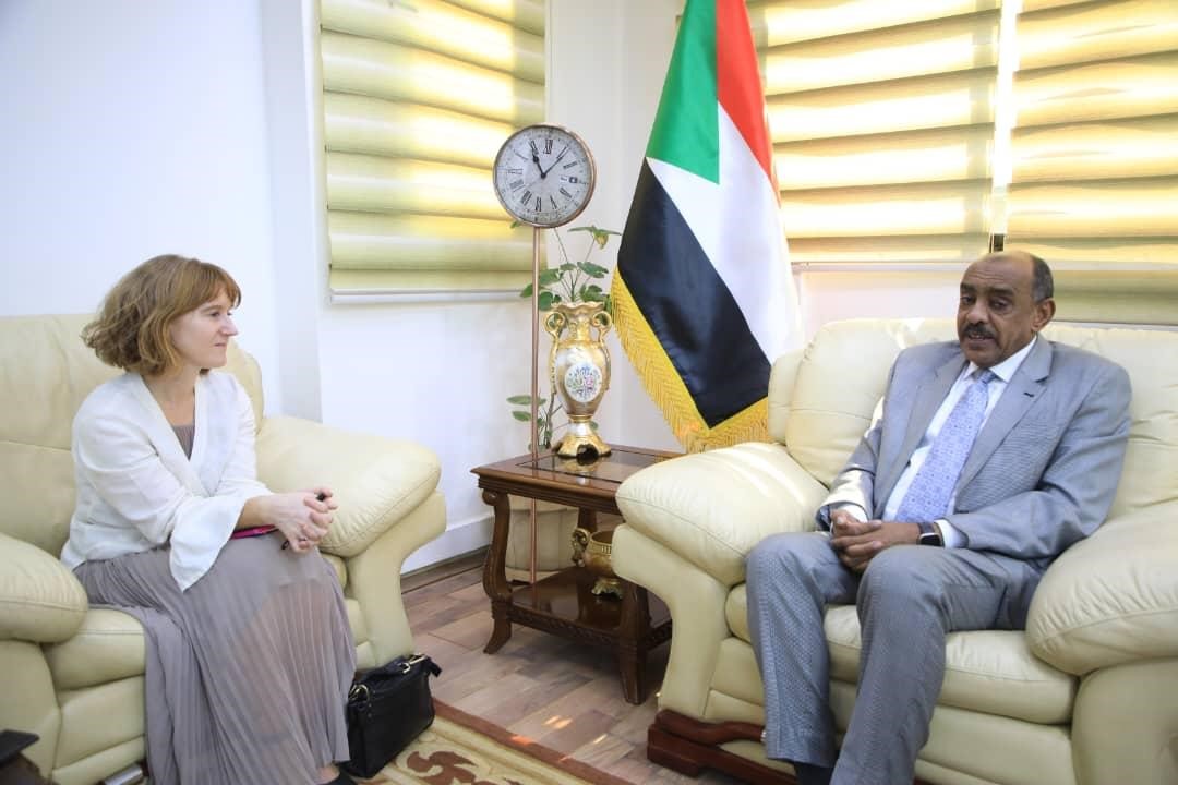 Foreign Minister Receives Director of Horn of Africa Department at Norway Foreign Ministry