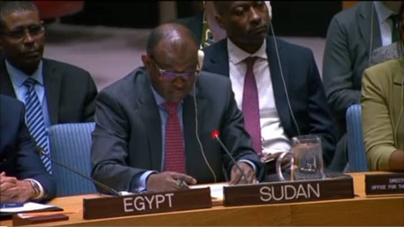 Sudan Representative before Security Council Session