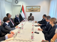 Darfur Region Governor UAE Behind Sudan War RSF Merely a Tool