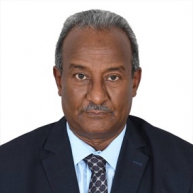 Undersecretary Ambassador Hussein al Amin al Fadil