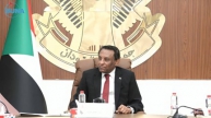 Prime Minister Directs Launch of National Campaign to Prevent Fall Effects and Combat Epidemics