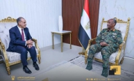 Egypts Foreign Minister Updates al Burhan on Cairos Efforts to End Sudan War