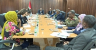 Coordination of Resolution 1591 on Darfur receives UN Security Council team of experts briefs them on RSF militia violations